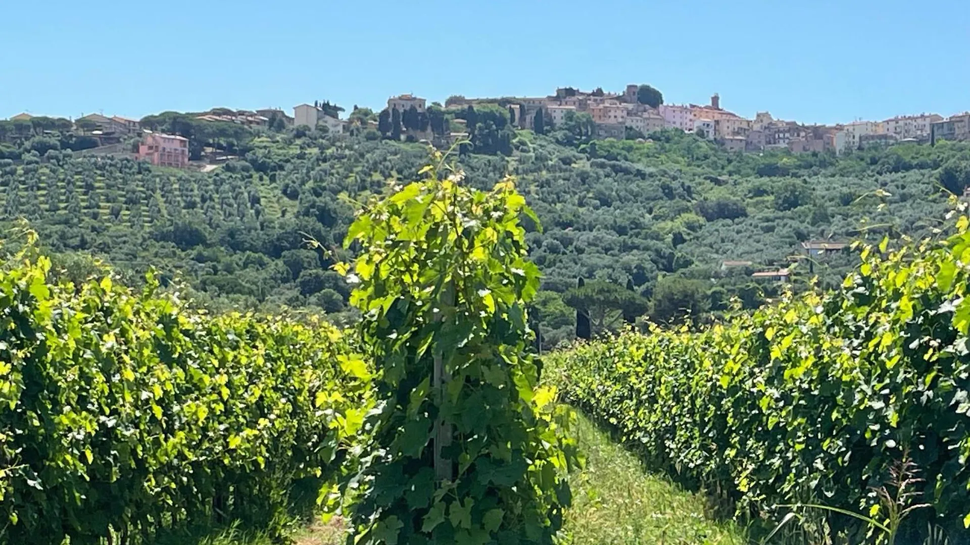 Agriturismo La Valle - By Podere Arundineto Castagneto Carducci Italie