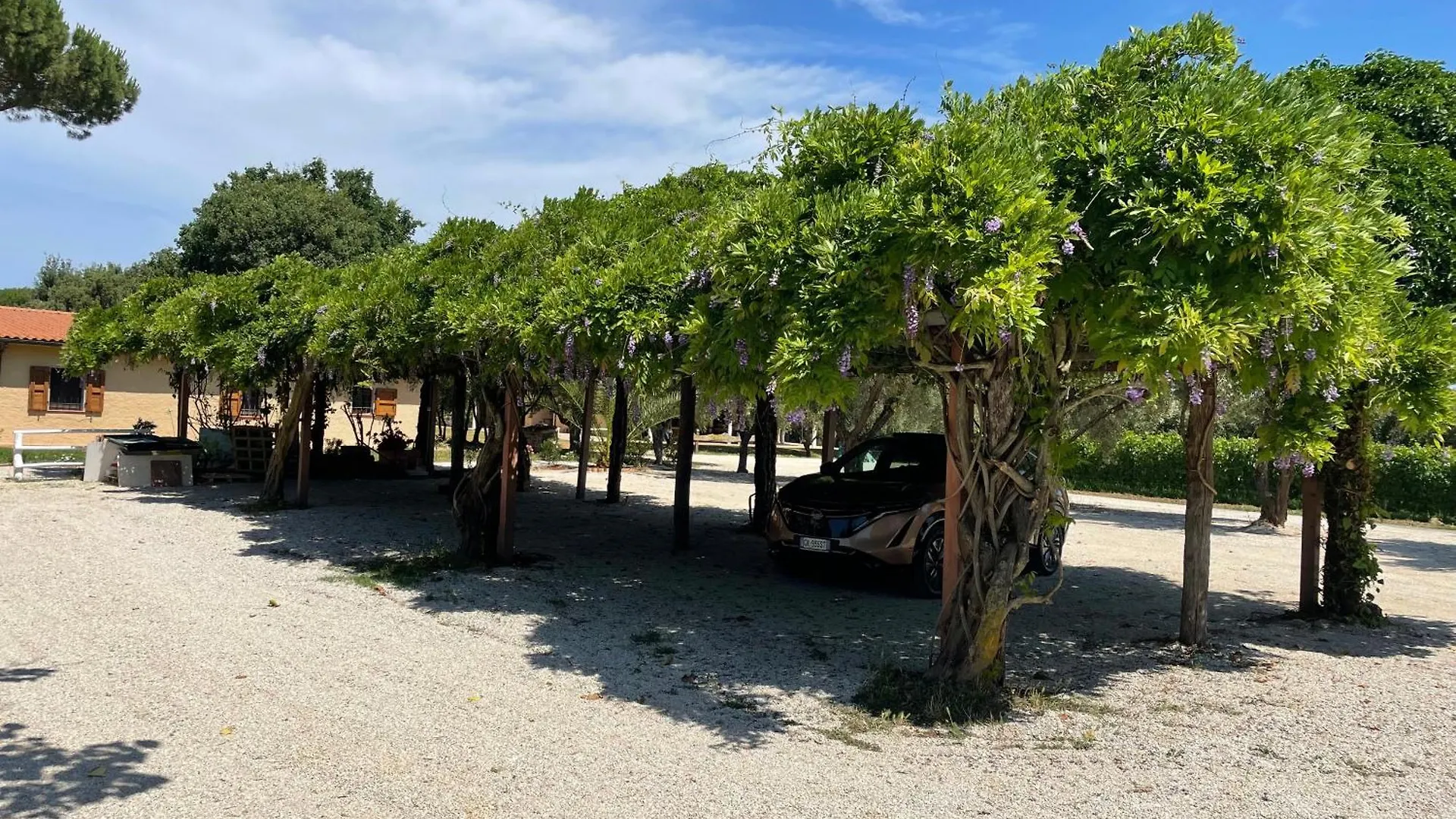 Séjour à la ferme Agriturismo La Valle - By Podere Arundineto Castagneto Carducci